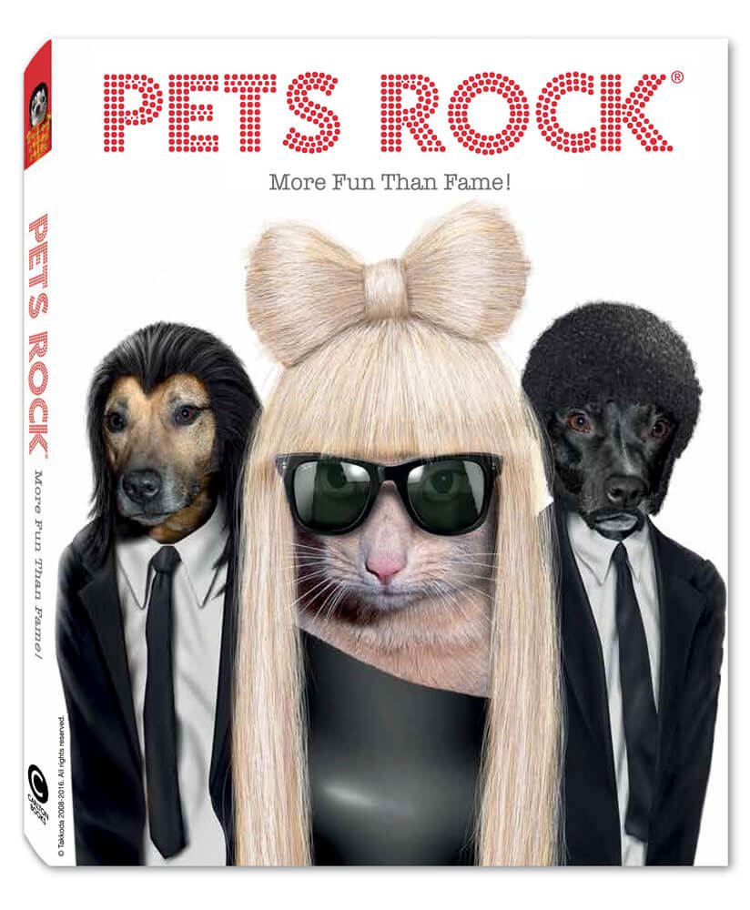 PR_Timeline_More-Fun-Than-Fame-Book-Launch-2016