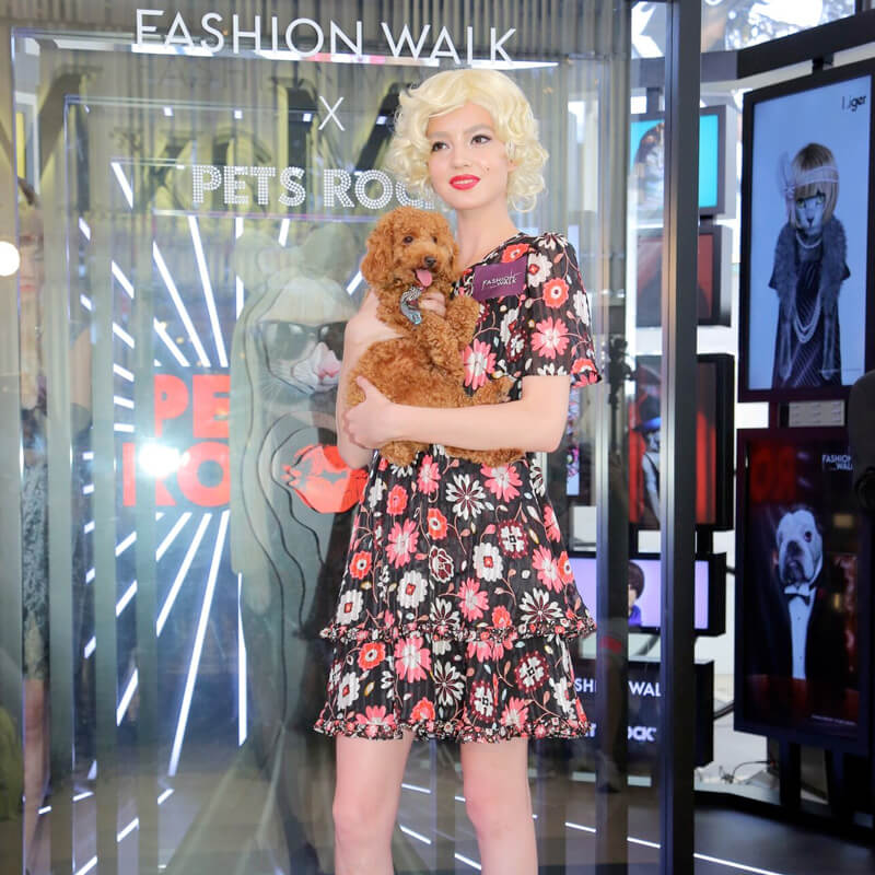 PR_news_PetsRock_Fashionwalk_2017