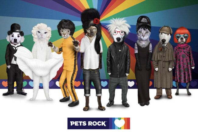 Pets Rock Joy